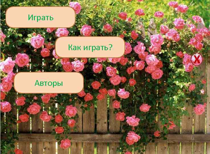 Играть Как играть? Авторы Х 
