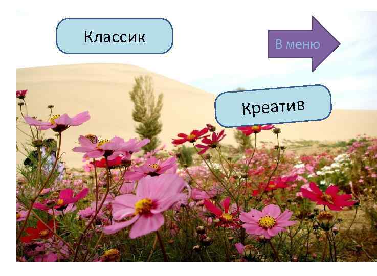 Классик В меню Креатив 