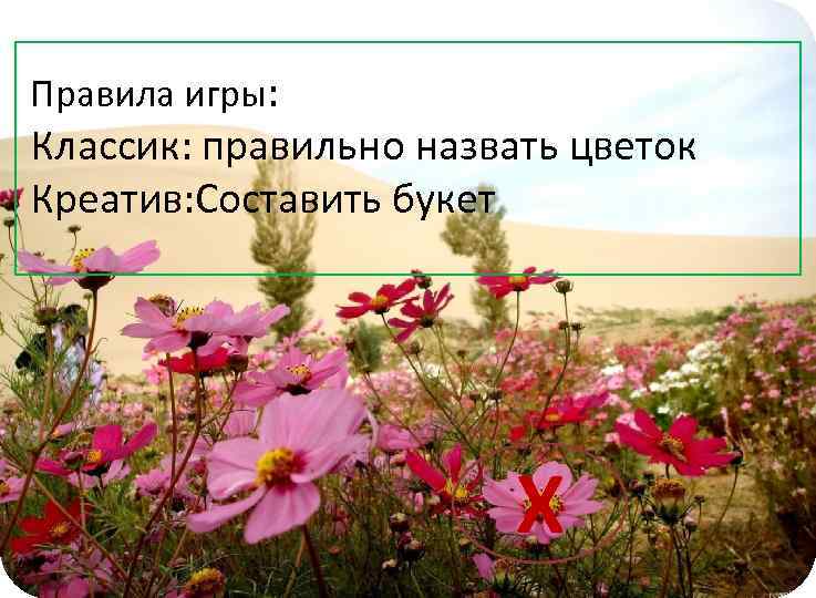 Правила игры: Классик: правильно назвать цветок Креатив: Составить букет Х 