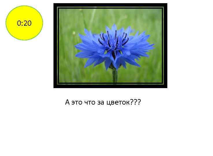 0: 20 А это что за цветок? ? ? 