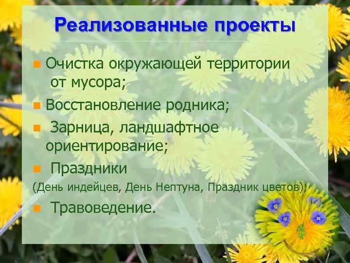 Реализованные проекты Очистка окружающей территории от мусора; n Восстановление родника; n Зарница, ландшафтное ориентирование;