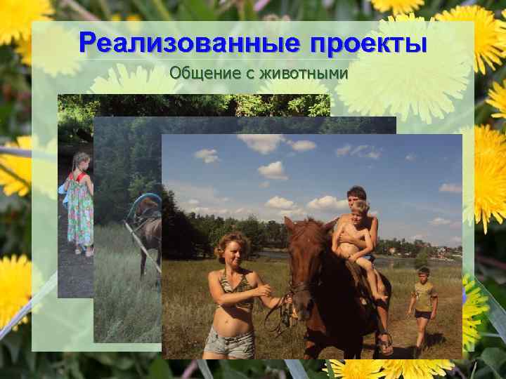 Реализованные проекты Общение с животными 