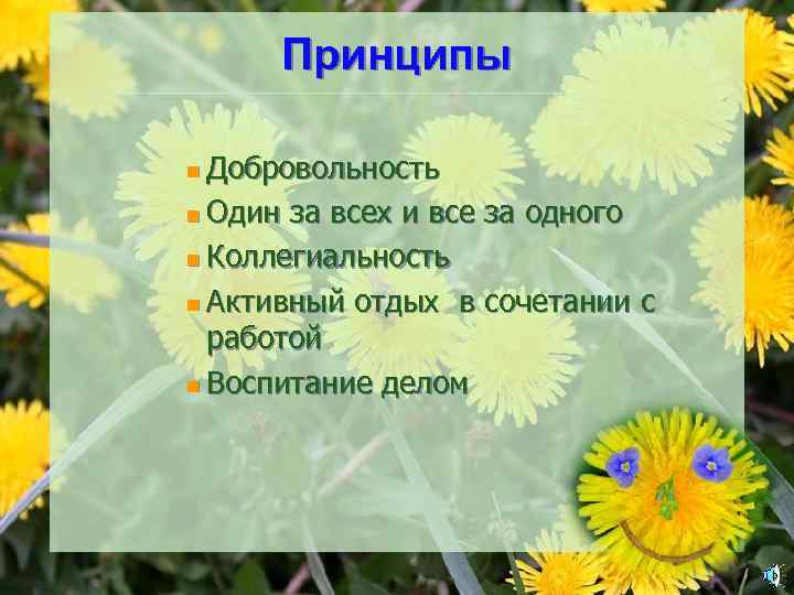 Принципы Добровольность n Один за всех и все за одного n Коллегиальность n Активный