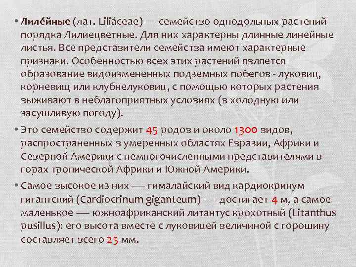  • Лиле йные (лат. Liliáceae) — семейство однодольных растений порядка Лилиецветные. Для них