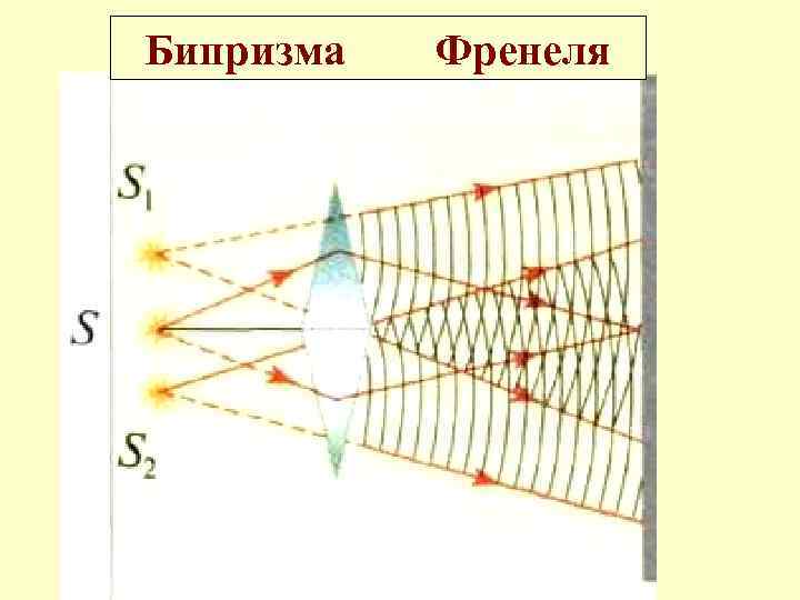 Бипризма Френеля 