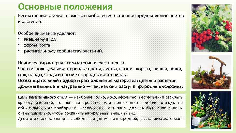 Основные положения Вегетативным стилем называют наиболее естественное представление цветов и растений. Особое внимание уделяют: