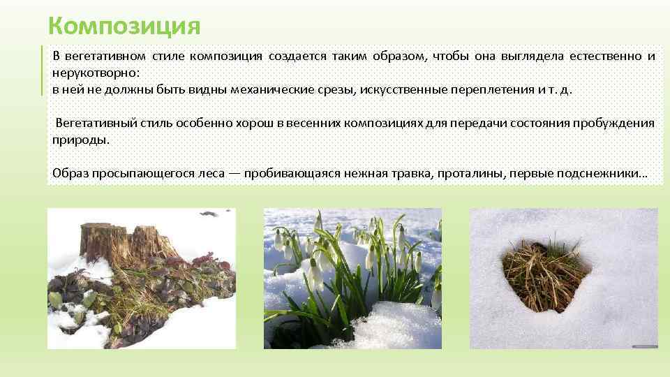 Композиция В вегетативном стиле композиция создается таким образом, чтобы она выглядела естественно и нерукотворно: