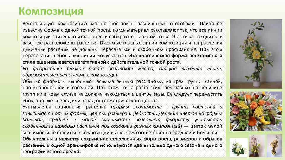 Композиция Вегетативную композицию можно построить различными способами. Наиболее известна форма с одной точкой роста,