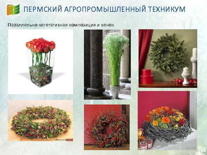 ПЕРМСКИЙ АГРОПРОМЫШЛЕННЫЙ ТЕХНИКУМ Параллельно-вегетативная композиция и венок 