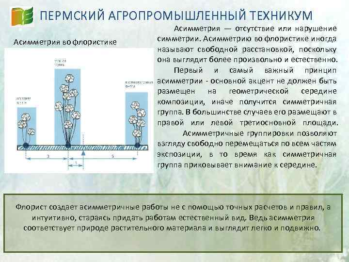 ПЕРМСКИЙ АГРОПРОМЫШЛЕННЫЙ ТЕХНИКУМ Асимметрия во флористике Асимметрия — отсутствие или нарушение симметрии. Асимметрию во