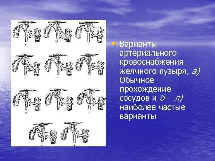  • Варианты артериального кровоснабжения желчного пузыря, а) Обычное прохождение сосудов и б— л)