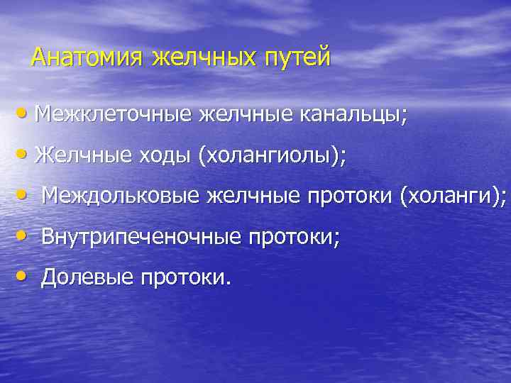 Анатомия желчных путей • Межклеточные желчные канальцы; • Желчные ходы (холангиолы); • Междольковые желчные