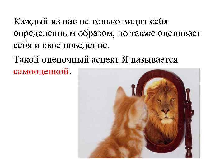 Каждый из нас не только видит себя определенным образом, но также оценивает себя и