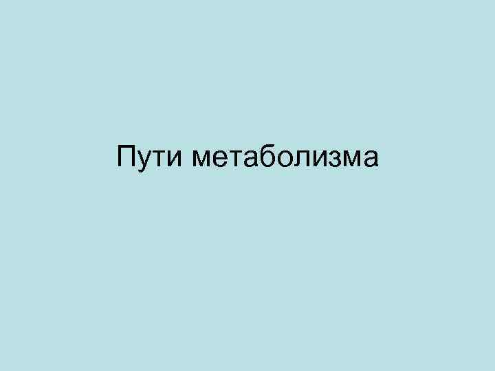 Пути метаболизма 