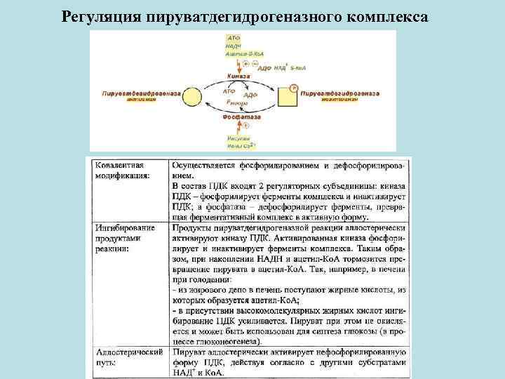 Структурно функциональная организация пируватдегидрогеназного комплекса схема