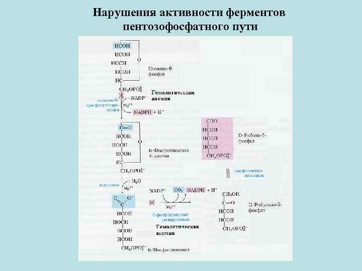 Нарушения активности ферментов пентозофосфатного пути 