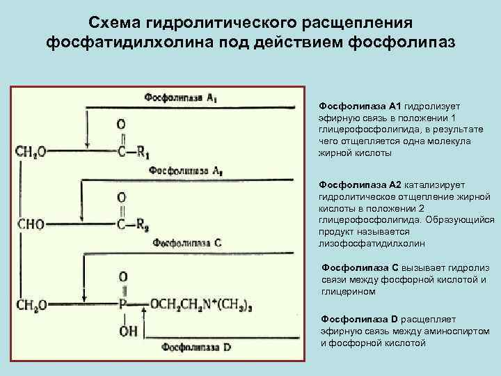 Расщепленной аналоговая схема