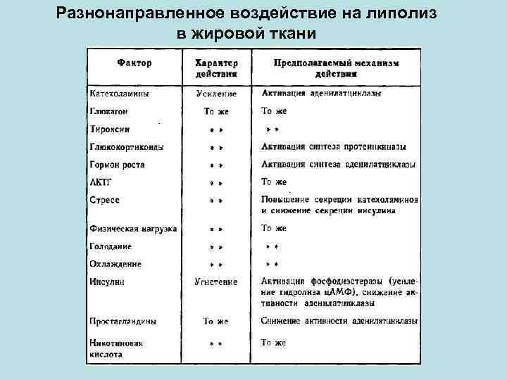 Разнонаправленное воздействие на липолиз в жировой ткани 