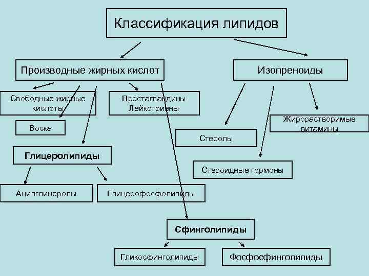 К простым липидам относятся. Жирные кислоты классификация роль. Классификация жирных кислот биохимия. Классификация липидов. Производные жирных кислот. Гормоны производные полиеновых жирных кислот.