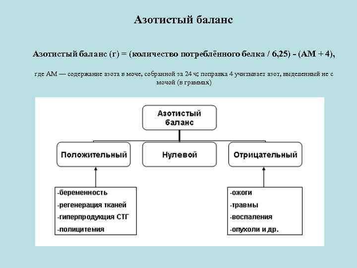 Положительный азотистый баланс это