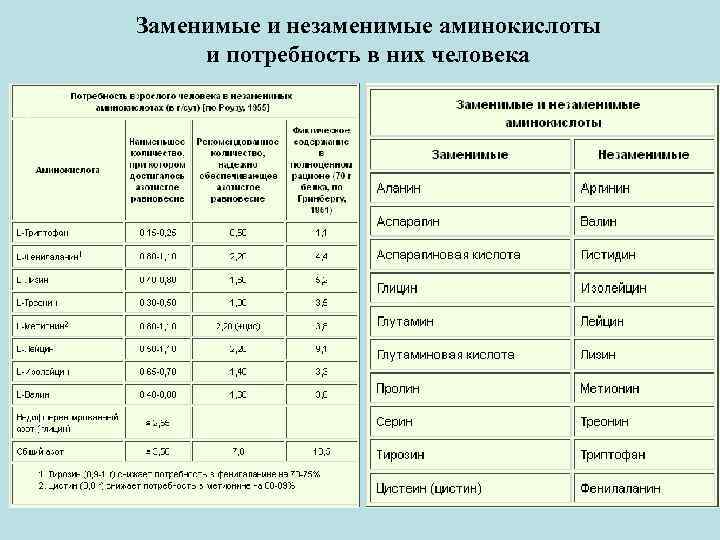 Заменимые и незаменимые аминокислоты и потребность в них человека 