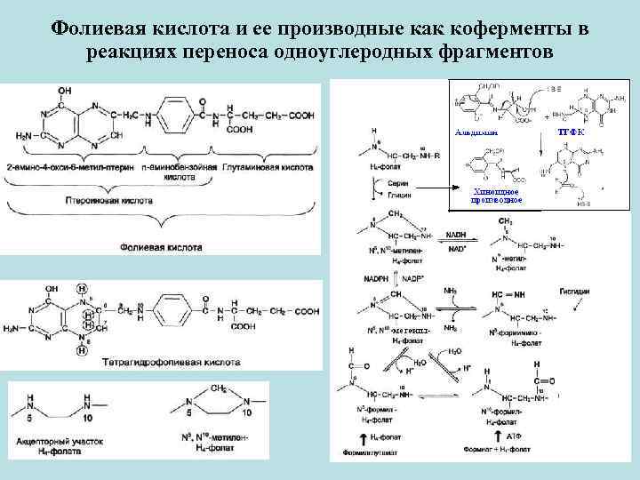 Азотная кислота является окислителем в реакциях схемы которых hno3 koh kno3