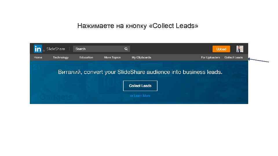 Нажимаете на кнопку «Collect Leads» 