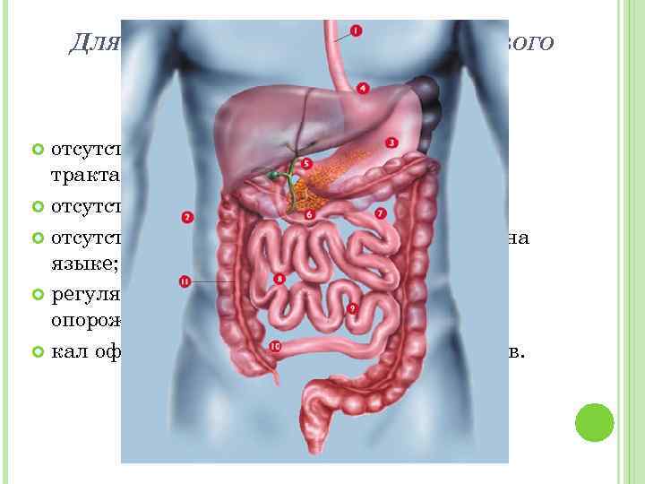 ДЛЯ СИСТЕМЫ ПИЩЕВАРЕНИЯ ЗДОРОВОГО ЧЕЛОВЕКА ХАРАКТЕРНО: отсутствие болей по ходу пищеварительного тракта; отсутствие расстройств