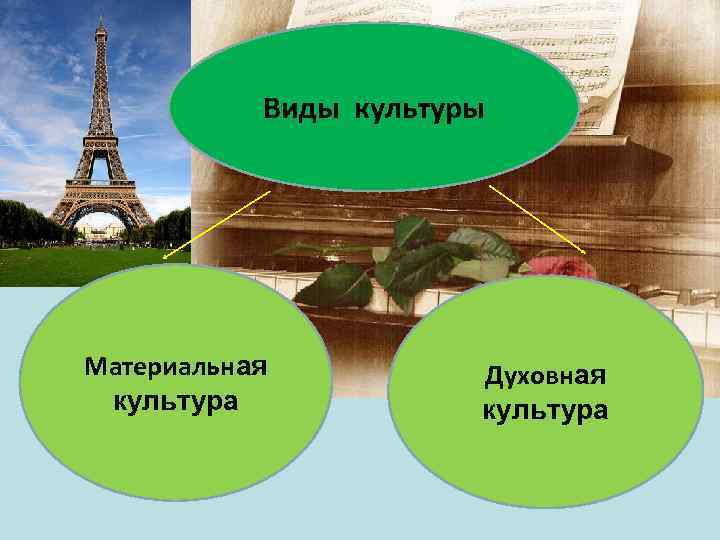 Виды культуры Материальная культура Духовная культура 