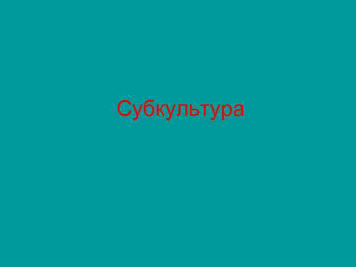 Субкультура 