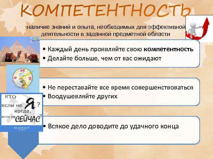наличие знаний и опыта, необходимых для эффективной деятельности в заданной предметной области • Каждый