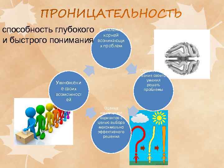 способность глубокого Выявление корней и быстрого понимания возникающи х проблем Совершенство вание своего умения