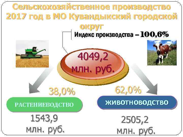Сельскохозяйственное производство 2017 год в МО Кувандыкский городской округ Индекс производства – 100, 6%