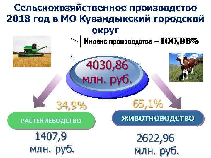 Сельскохозяйственное производство 2018 год в МО Кувандыкский городской округ Индекс производства – 100, 96%