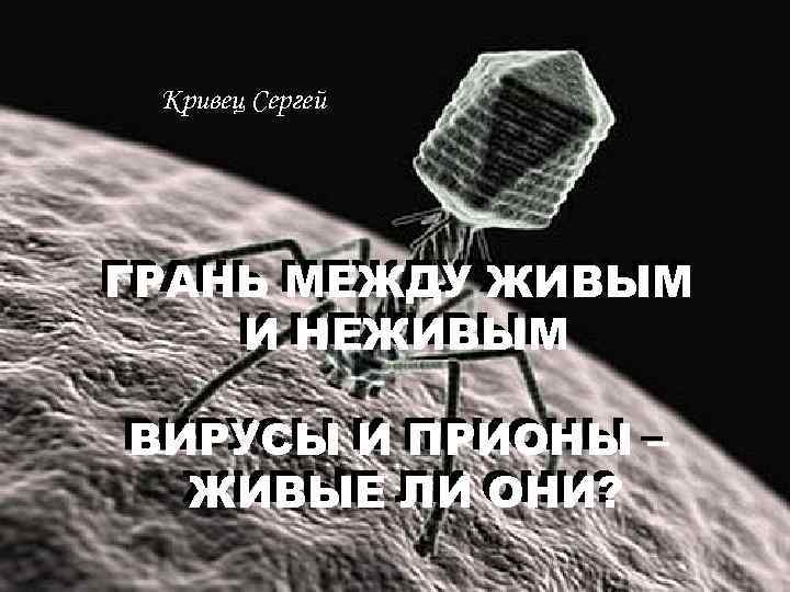 Кривец Сергей ГРАНЬ МЕЖДУ ЖИВЫМ И НЕЖИВЫМ ВИРУСЫ И ПРИОНЫ – ЖИВЫЕ ЛИ ОНИ?