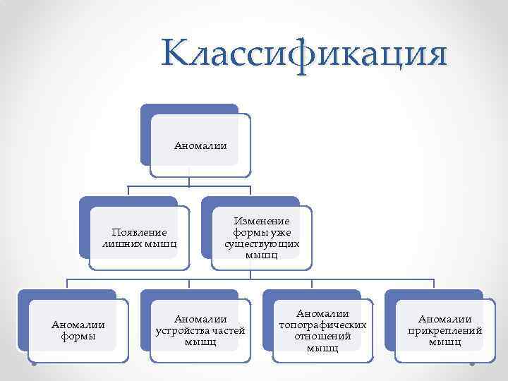 Классификация Аномалии Появление лишних мышц Аномалии формы Изменение формы уже существующих мышц Аномалии устройства