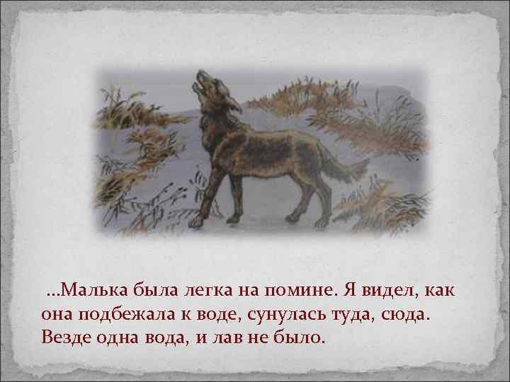  …Малька была легка на помине. Я видел, как она подбежала к воде, сунулась
