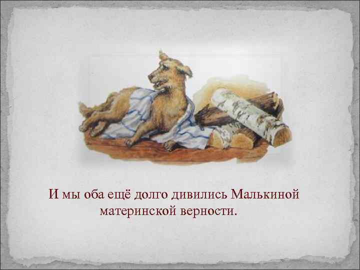 И мы оба ещё долго дивились Малькиной материнской верности. 