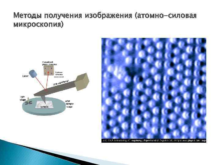 Методы получения изображения (атомно-силовая микроскопия) 