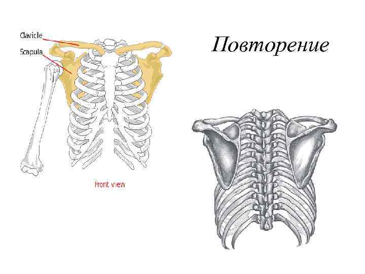 Повторение 