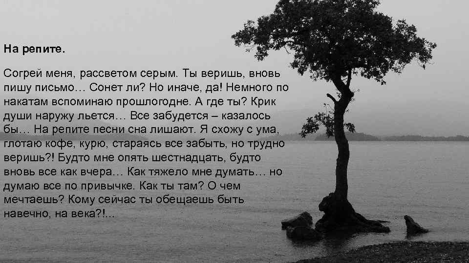 На репите. Согрей меня, рассветом серым. Ты веришь, вновь пишу письмо… Сонет ли? Но