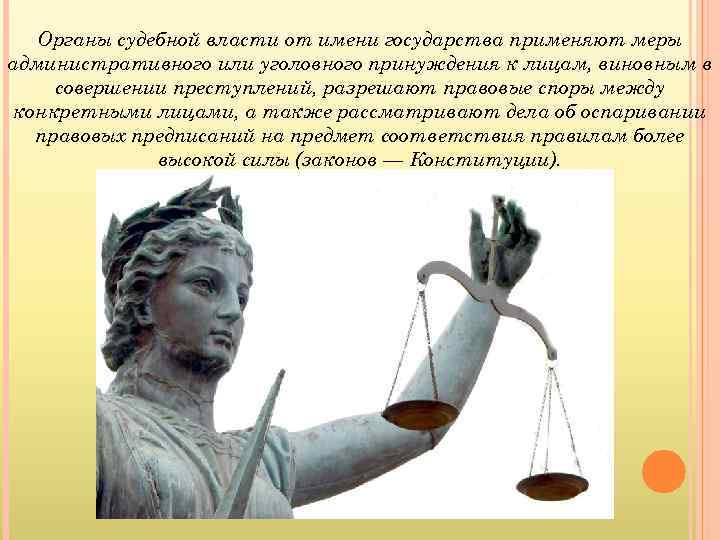 Органы судебной власти от имени государства применяют меры административного или уголовного принуждения к лицам,