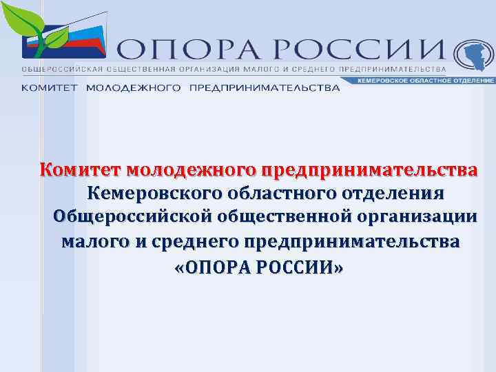 Комитет молодежного предпринимательства Кемеровского областного отделения Общероссийской общественной организации малого и среднего предпринимательства «ОПОРА