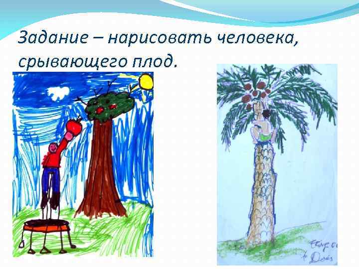Задание – нарисовать человека, срывающего плод. 