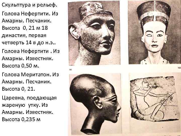 Скульптура и рельеф. Голова Нефертити. Из Амарны. Песчаник. Высота 0, 21 м 18 династия,