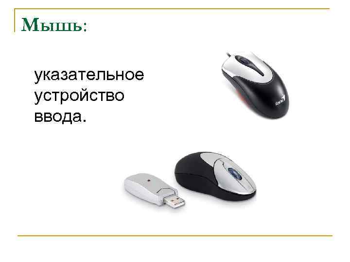 Мышь: указательное устройство ввода. 