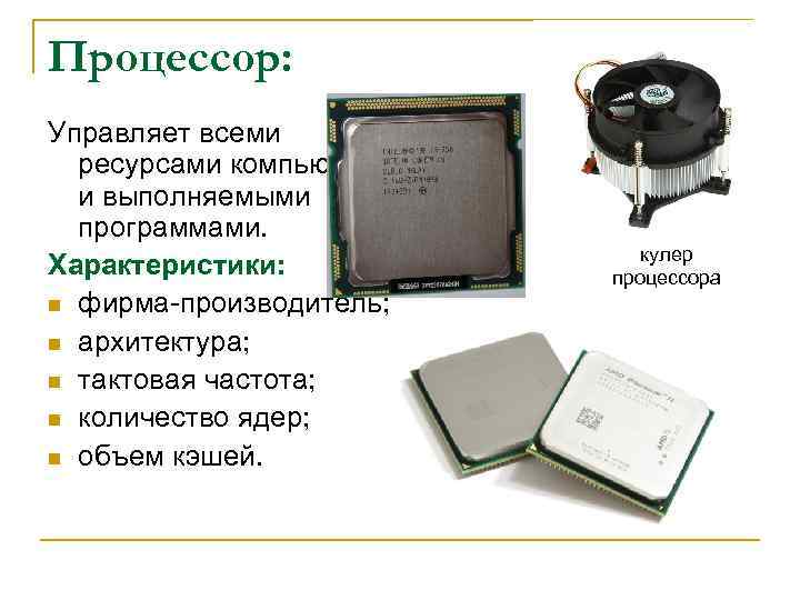 Процессор: Управляет всеми ресурсами компьютера и выполняемыми программами. Характеристики: n фирма-производитель; n архитектура; n