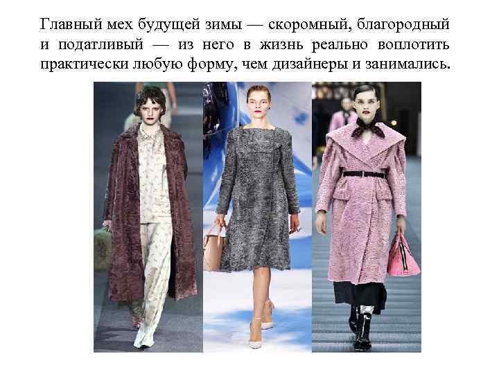 Главный мех будущей зимы — скоромный, благородный и податливый — из него в жизнь