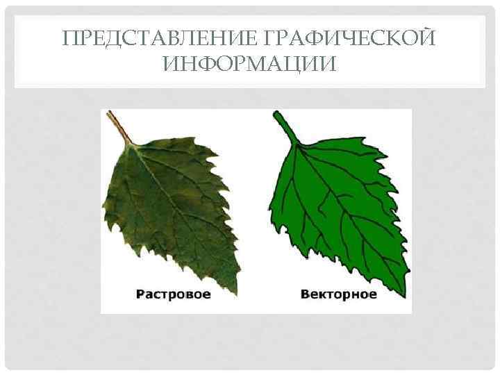 Перевод растрового изображения в векторное