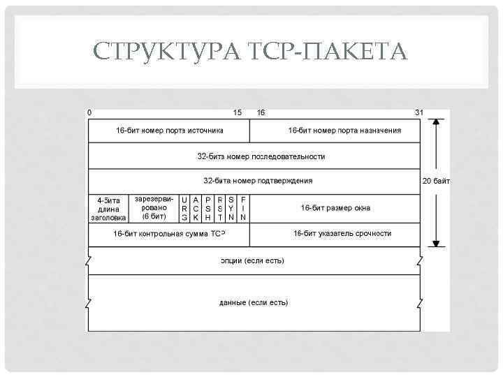 СТРУКТУРА TCP-ПАКЕТА 
